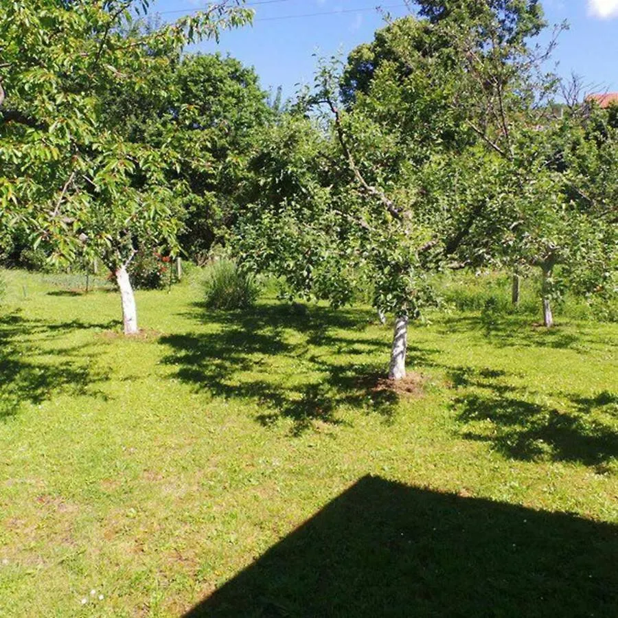 Holiday Apartment Kastav